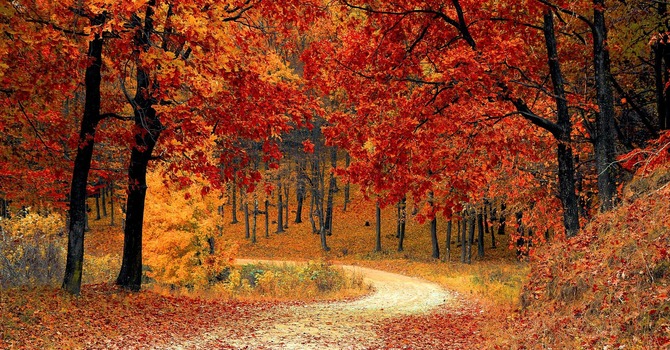First Day Of Fall