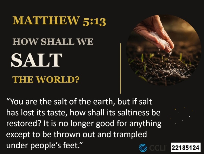 HOW SHALL WE SALT THE EARTH?