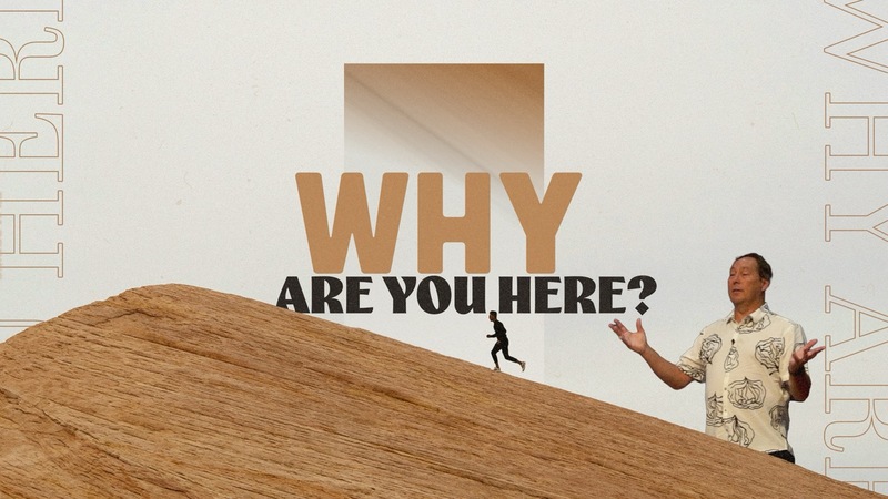 Why Are You Here?