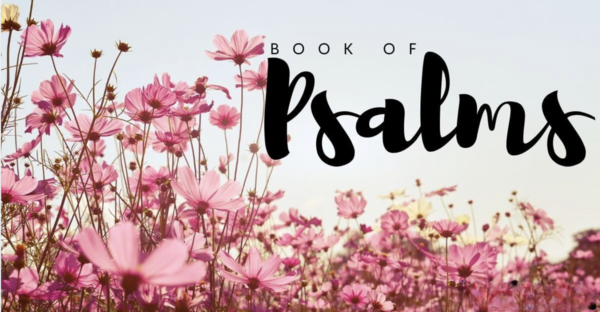 The Book of Psalms Bible Study