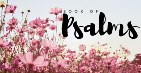 The Book of Psalms Bible Study
