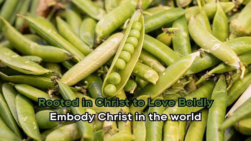 Embody Christ in the world
