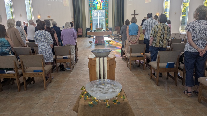 Sermon on the First Sunday of the Season of Creation