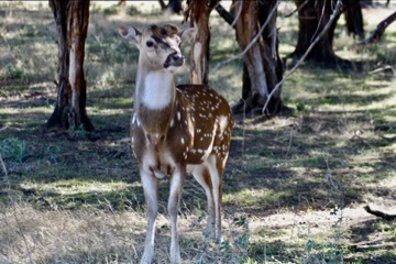 Slideshow image