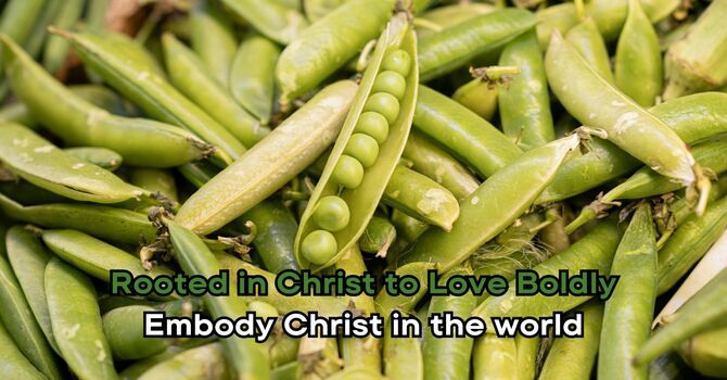 Embody Christ in the world