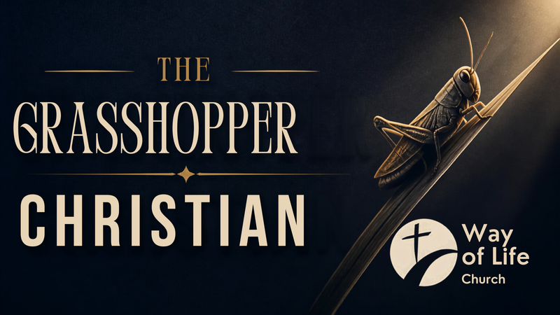 The Grasshopper Christian