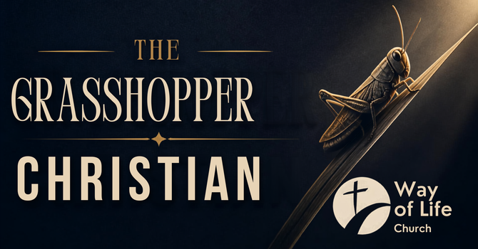 The Grasshopper Christian
