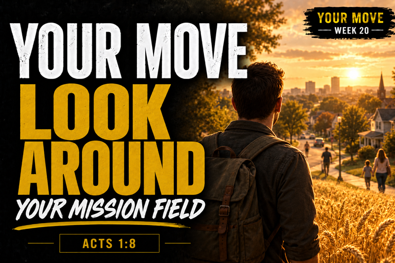 Your Move: Look Around You