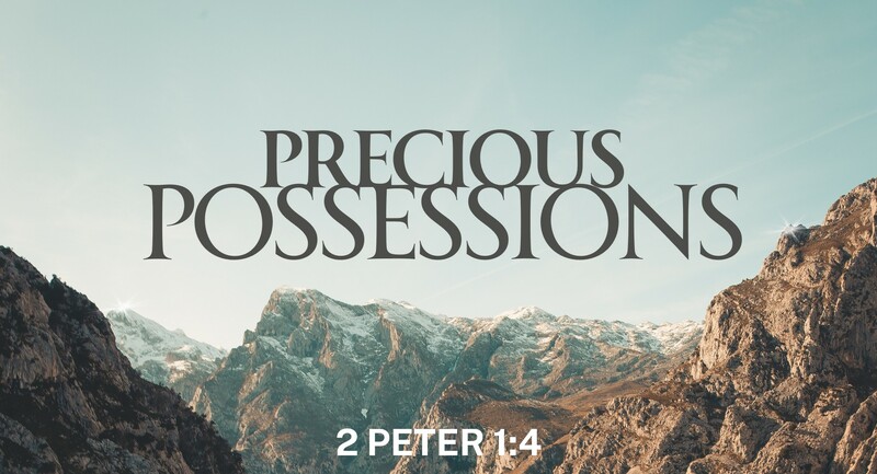 Precious Possessions