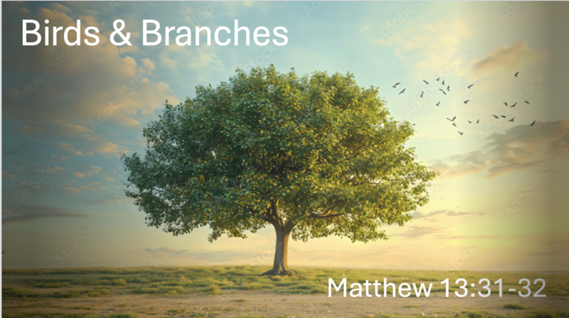 Birds & Branches