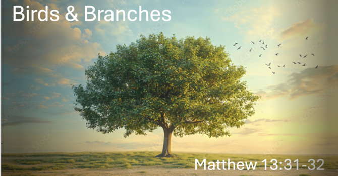 Birds & Branches