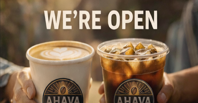 Avava Coffee Co.