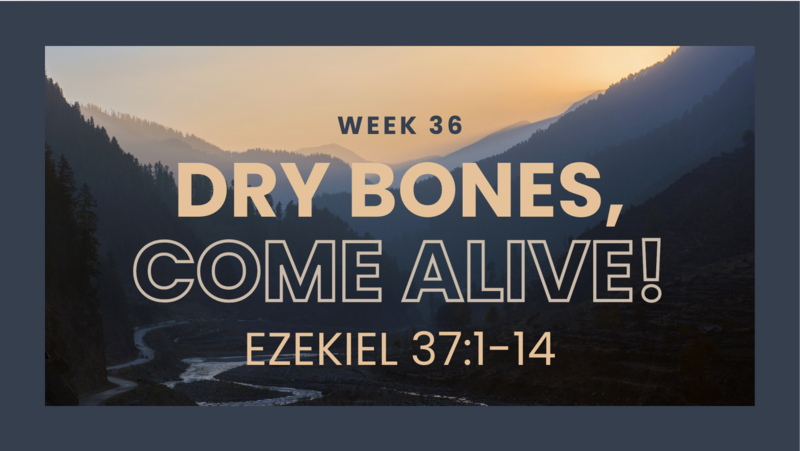 Dry Bones, Come Alive!