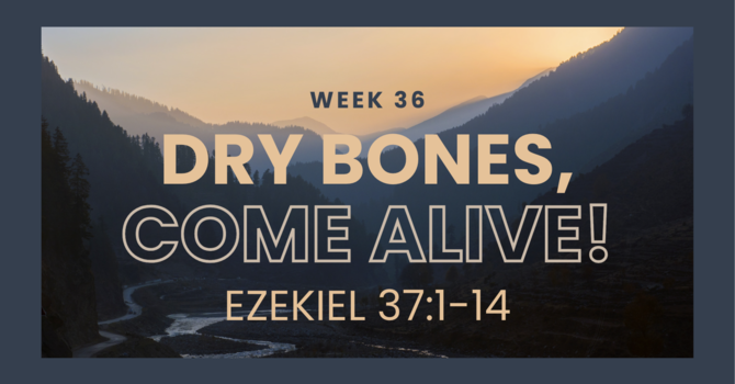 Dry Bones, Come Alive!