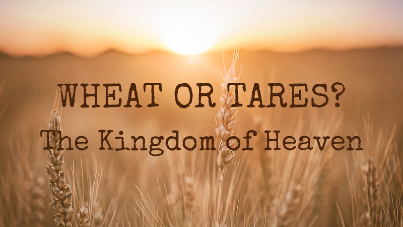 Wheat or Tares?