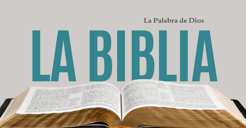 Construyendo mi Vida en La Palabra de Dios