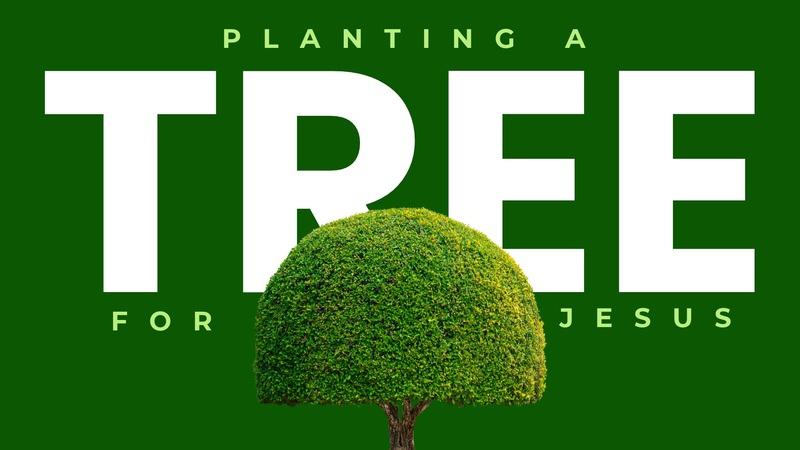 Planting A Tree For Jesus