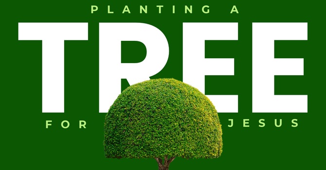 Planting A Tree For Jesus