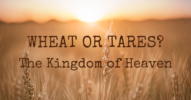 Wheat or Tares?