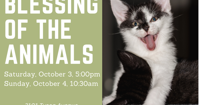 Blessing of the Animals