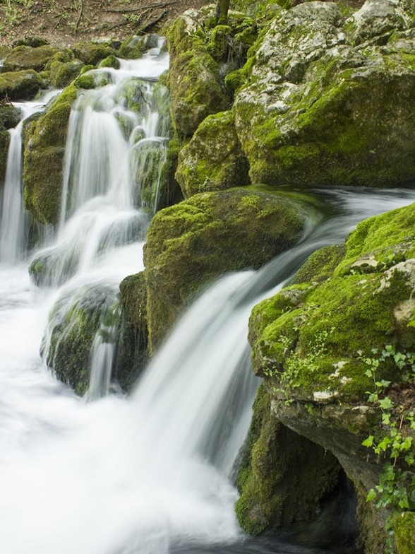 Slideshow image