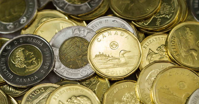 Luncheon and Loonie Auction