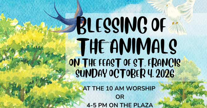 Blessing of the Animals