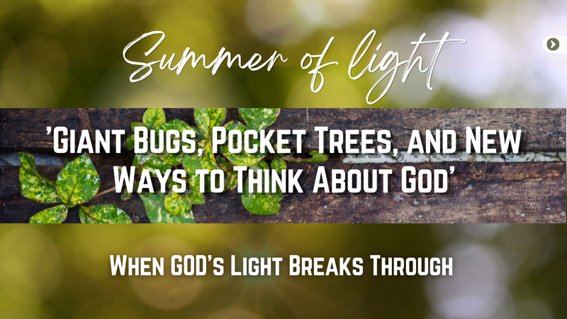 GIANT BUGS, POCKET TEES, AND NEW WAYS TO THINK ABOUT GOD