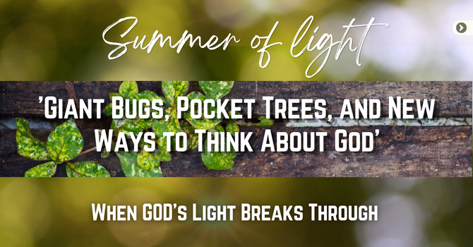 GIANT BUGS, POCKET TEES, AND NEW WAYS TO THINK ABOUT GOD