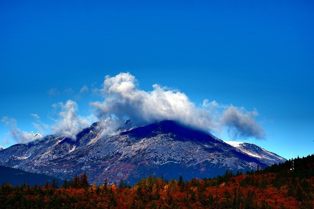 Slideshow image
