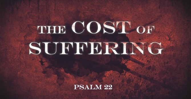 The Cost of Suffering