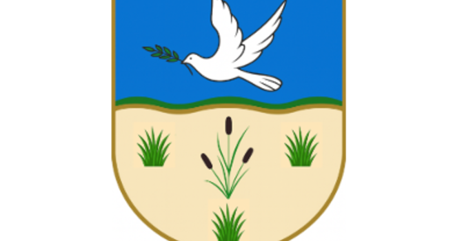 Diocesan Budget