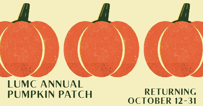 Pumpkin Patch!