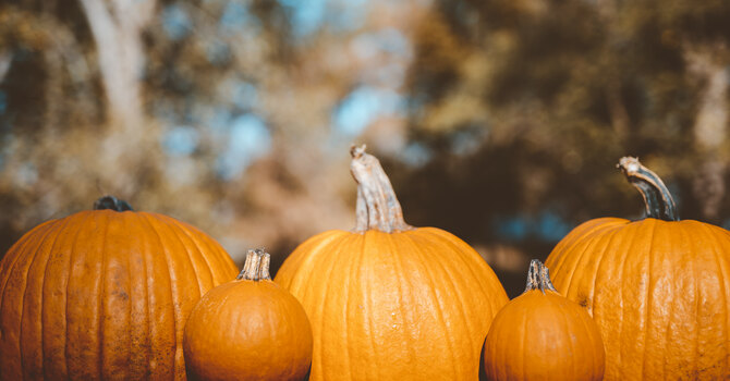Pumpkin Painting Family Activity Night