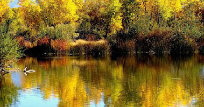 EARTHCARE NEWS image