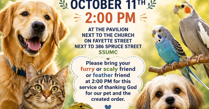 Pet Blessing