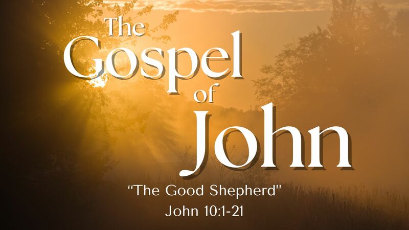 The Good Shepherd