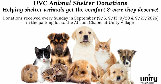Animal Shelter Donation