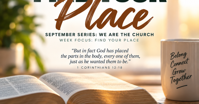 SUNDAY REFLECTION - Find Your Place image