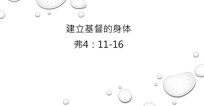 建立基督的身體 
