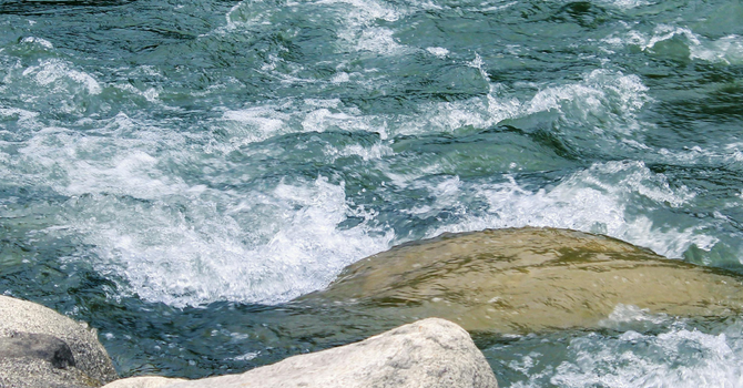 The Sound of Water