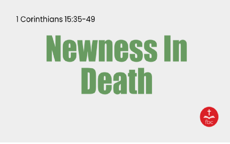 Newness In Death
