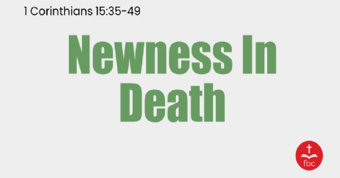 Newness In Death