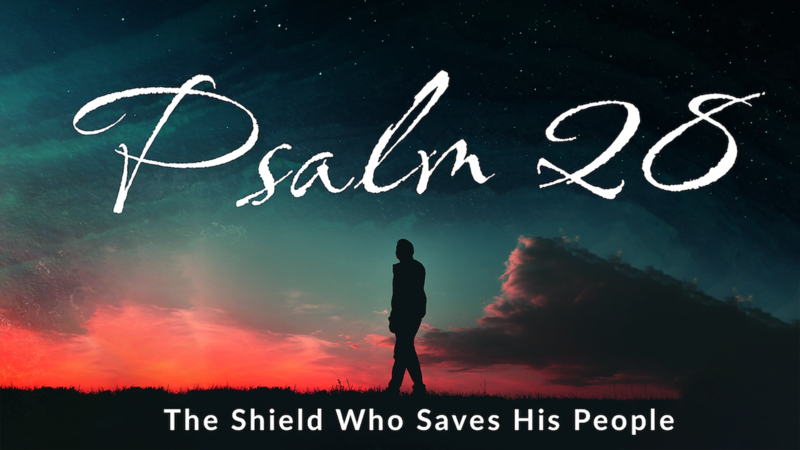 The Shield Who Saves His People