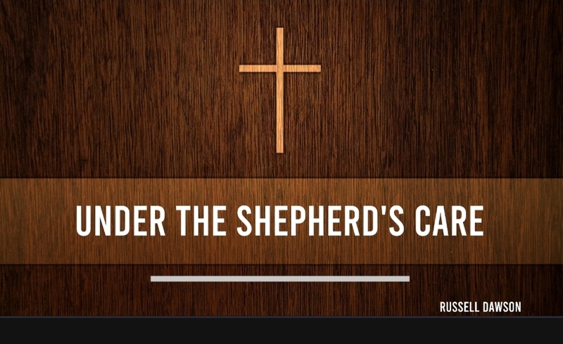 Under The Shepherds Care