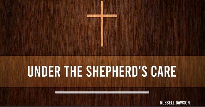 Under The Shepherds Care