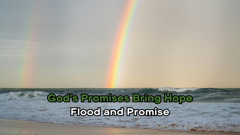 Flood & Promise