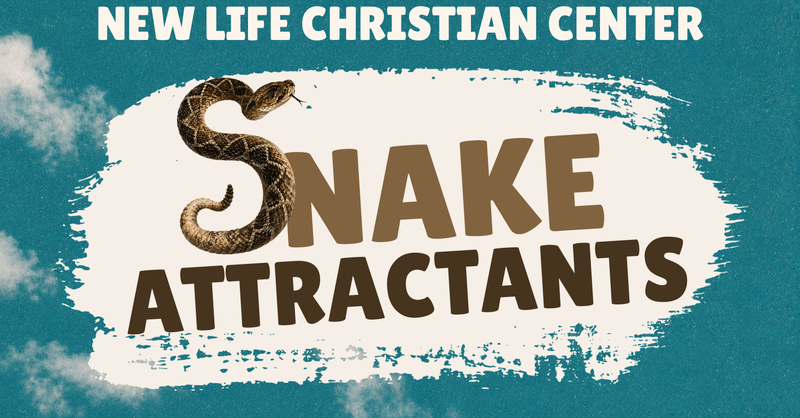 Snake Attractants