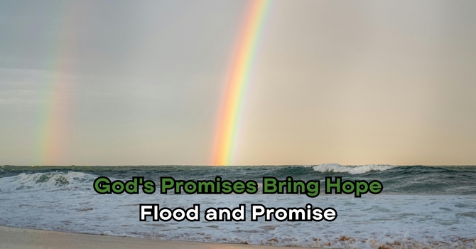Flood & Promise