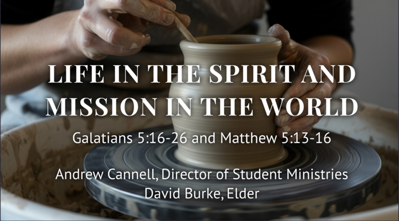 Life in the Spirit and Mission in the World